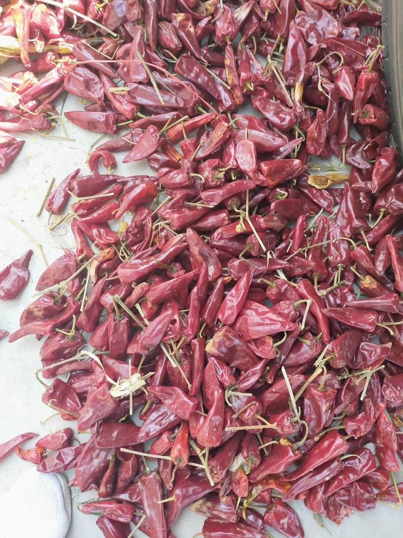 干辣椒北京红干椒优质货源量大从优内蒙主产区