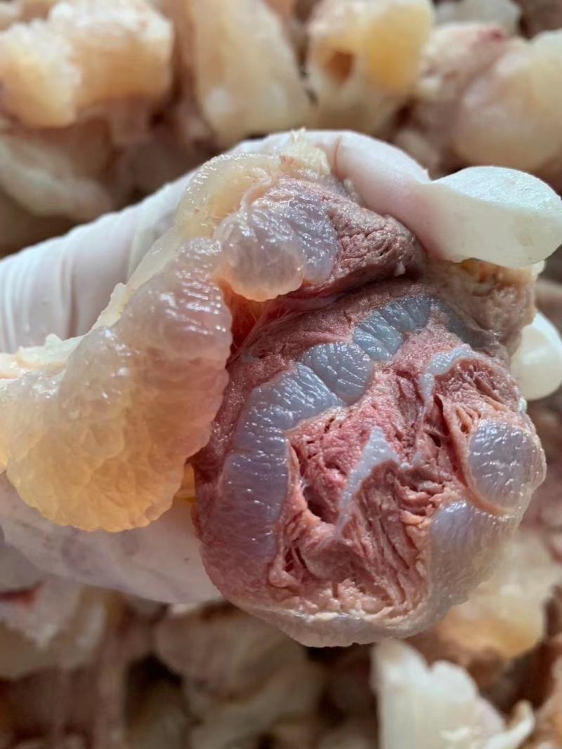 精修熟腱巴筋，厂家直销大量有货。。。。。。