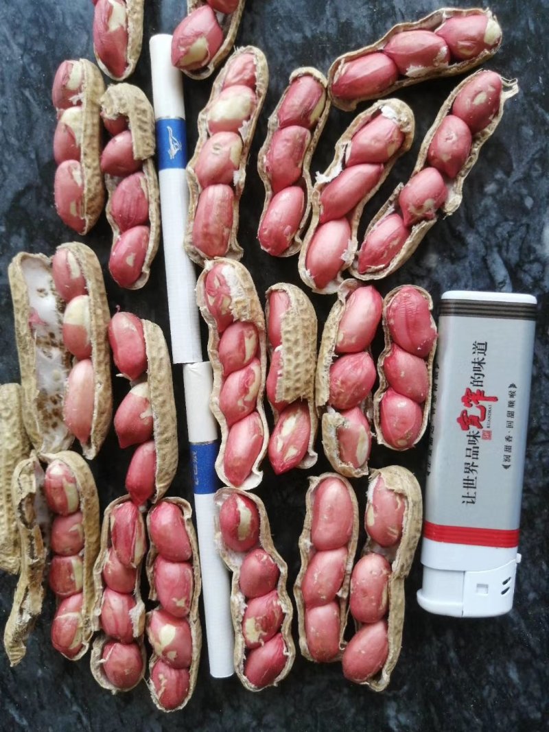 河南花生，鲜花生，大白沙小白沙罗汉果四粒红档口电商
