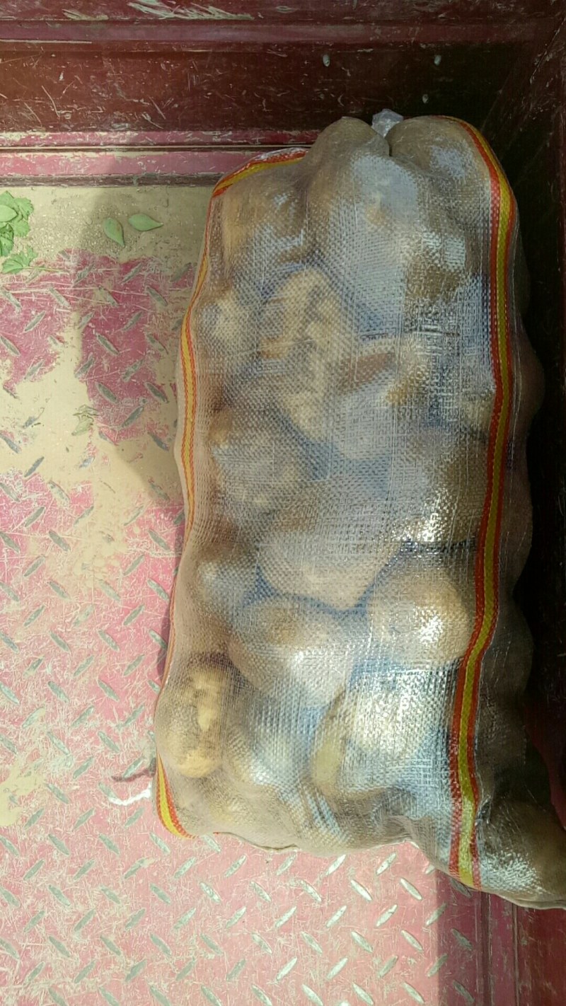 陕北土豆沃土五无虫眼无绿头表面光滑