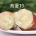 商薯19量大质优，条行好，颜色亮，口感香甜。