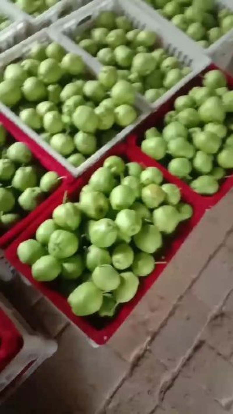 梨