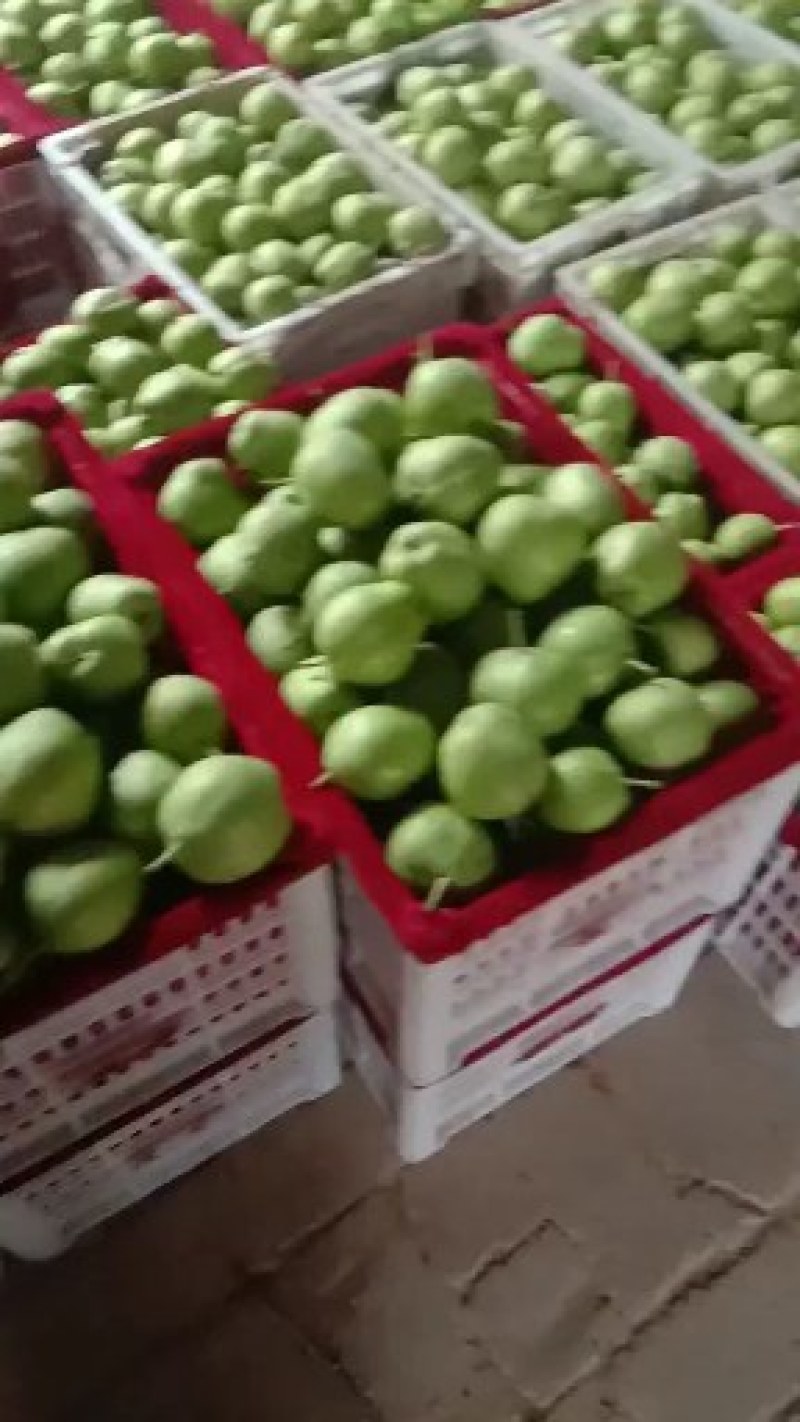 梨