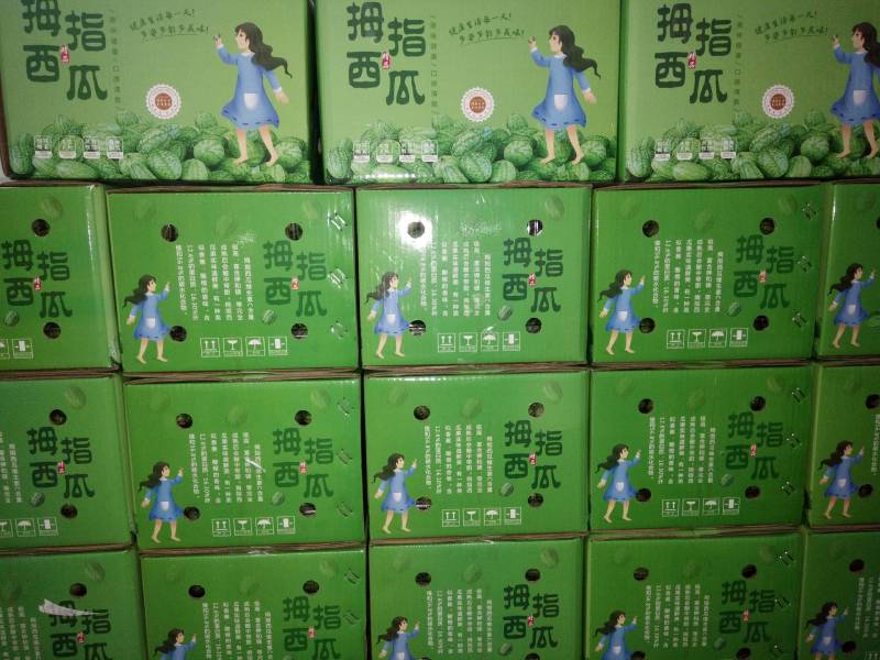 拇指西瓜大量供货质量保证