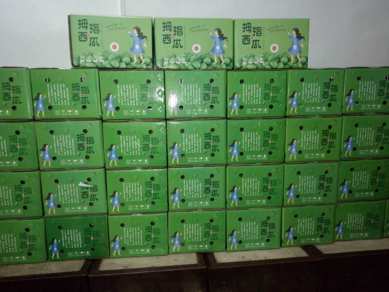 拇指西瓜大量供货质量保证