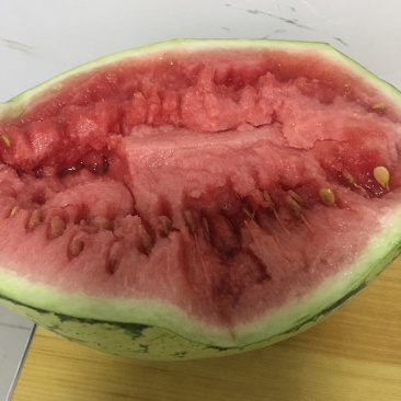 旱砂地硒砂瓜，大量现货。互利共赢。