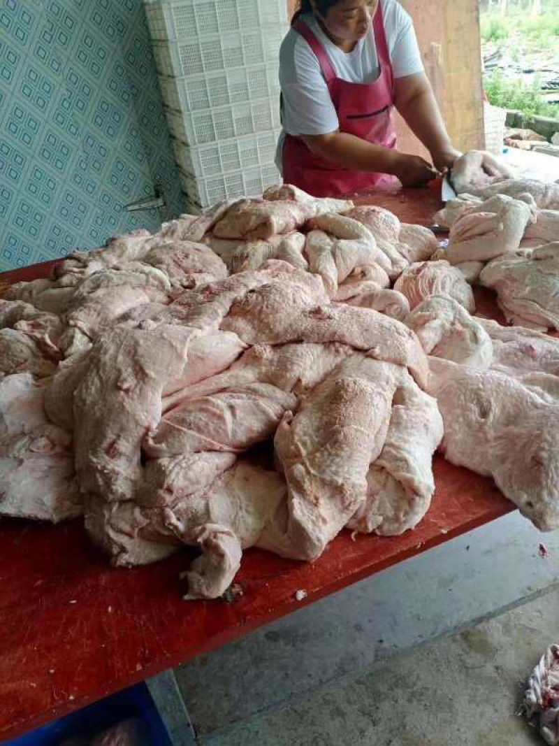 母猪猪奶沙屠宰场一手货源质量保证价格实惠
