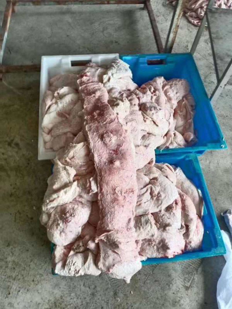 母猪猪奶沙屠宰场一手货源质量保证价格实惠