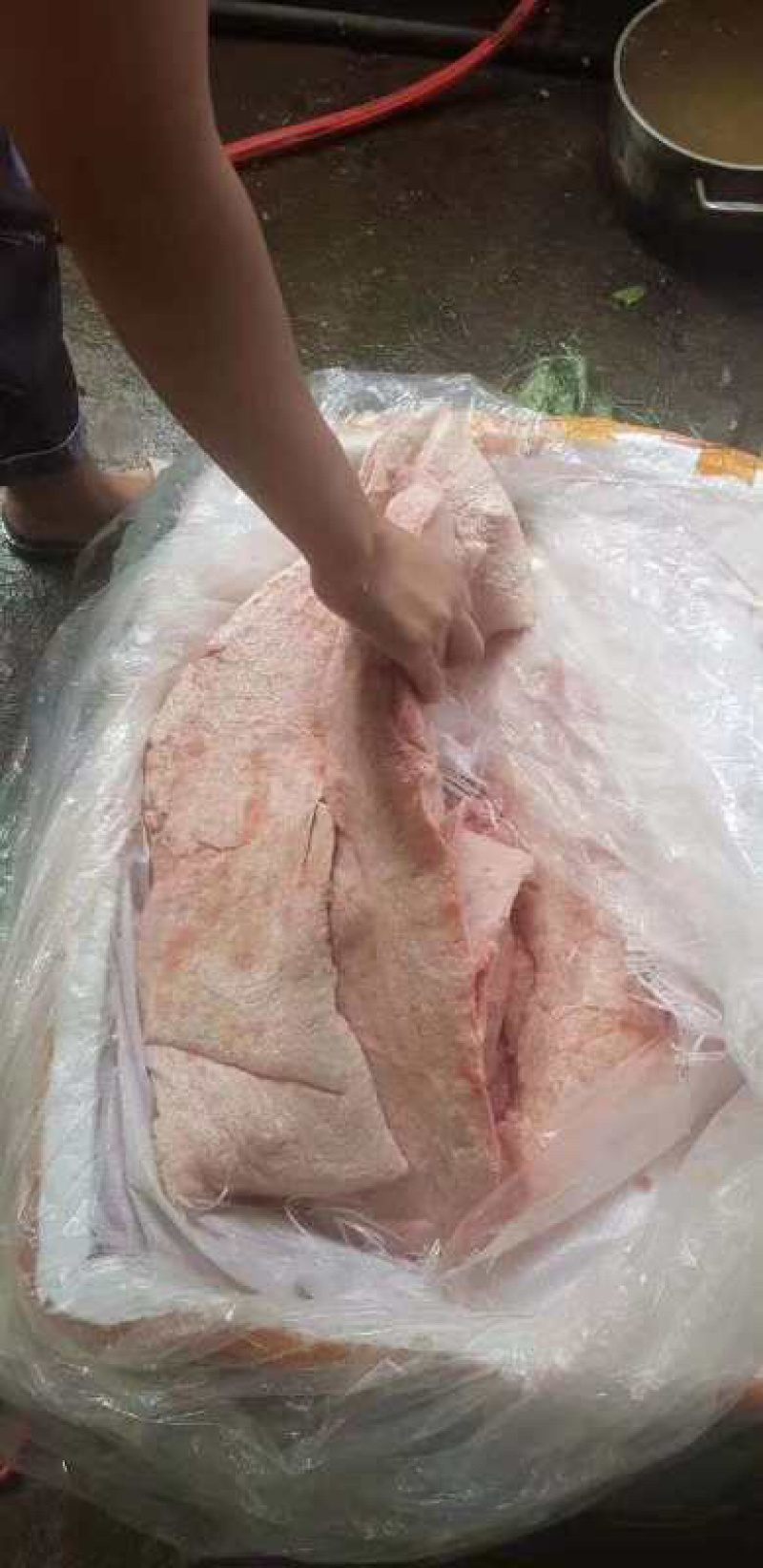 母猪猪奶沙屠宰场一手货源质量保证价格实惠