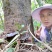 贵州吊脚楼大森山的野生黑灵芝