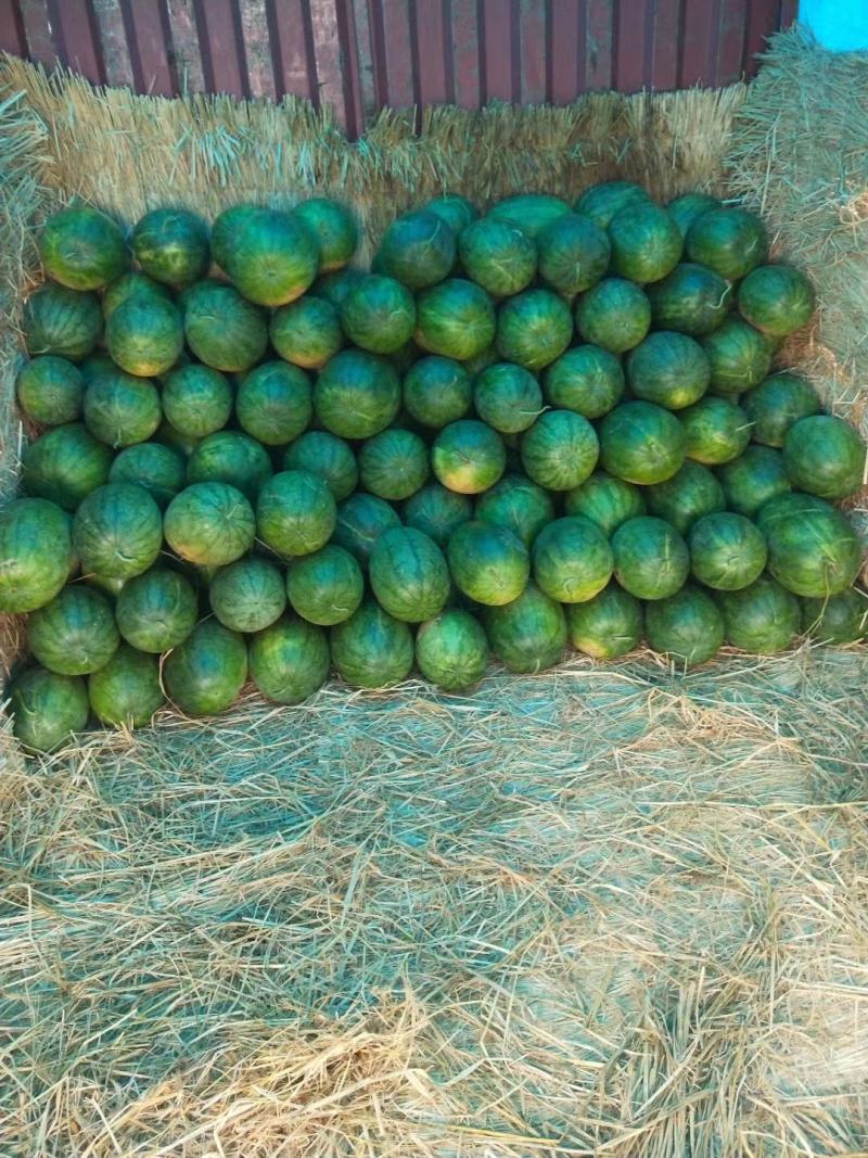 高阳县龙卷风重茬王杨龙