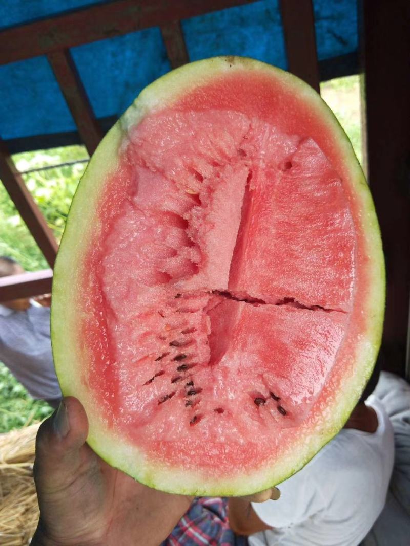 高阳县龙卷风重茬王杨龙
