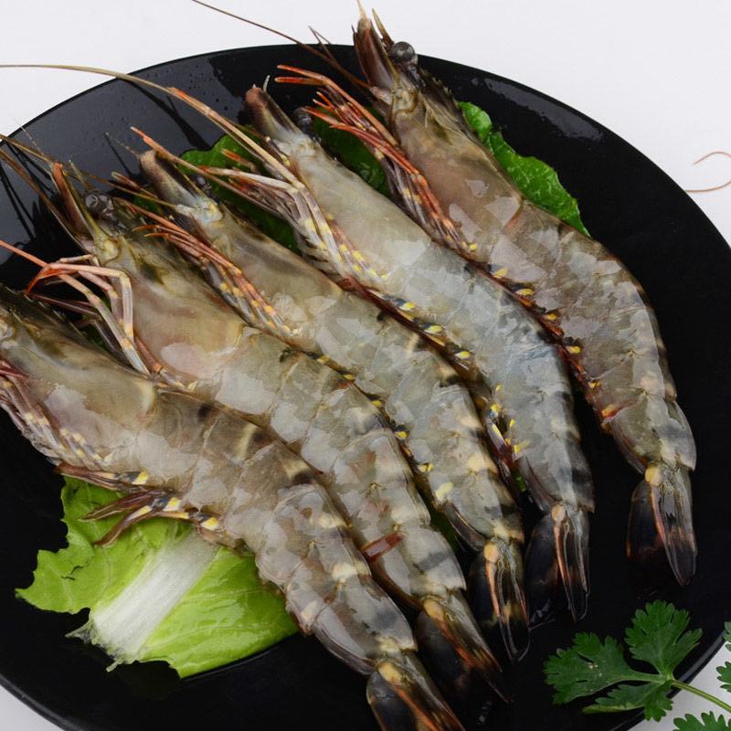 泰国黑虎虾