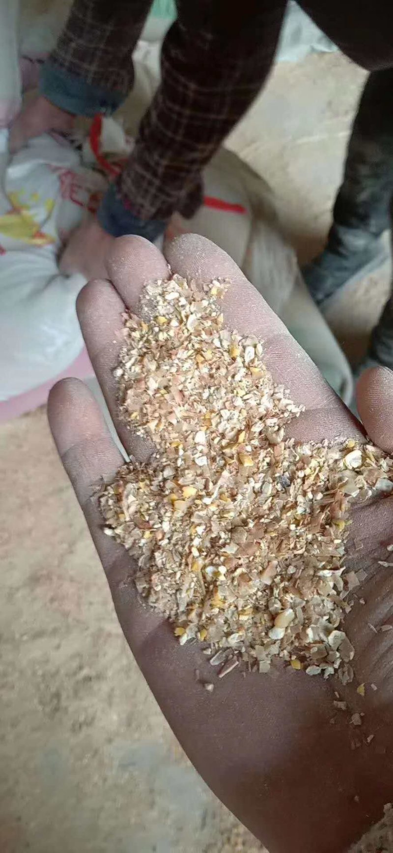 （有好货）碎玉米过风精粮鸡鸭鹅猪牛羊专用，价格美丽！