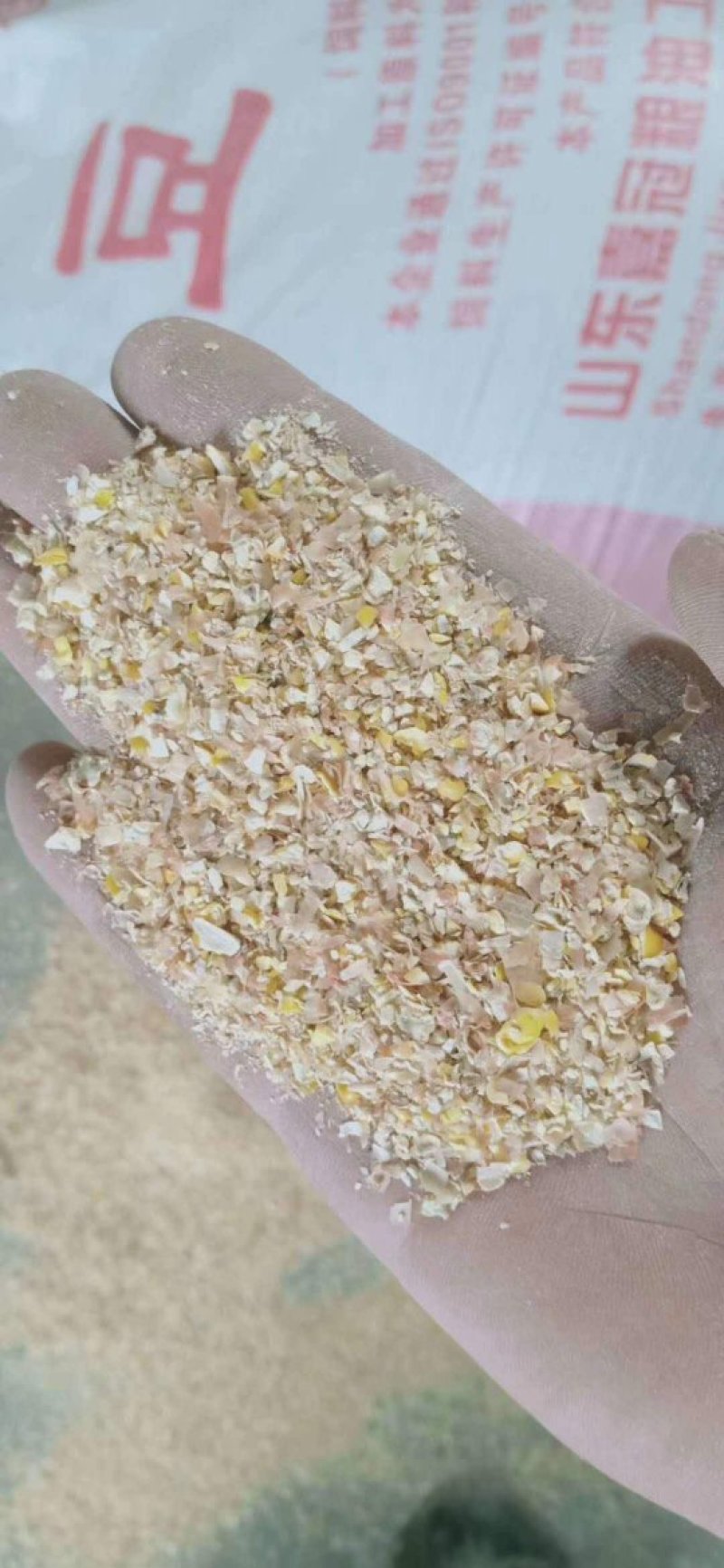 （有好货）碎玉米过风精粮鸡鸭鹅猪牛羊专用，价格美丽！