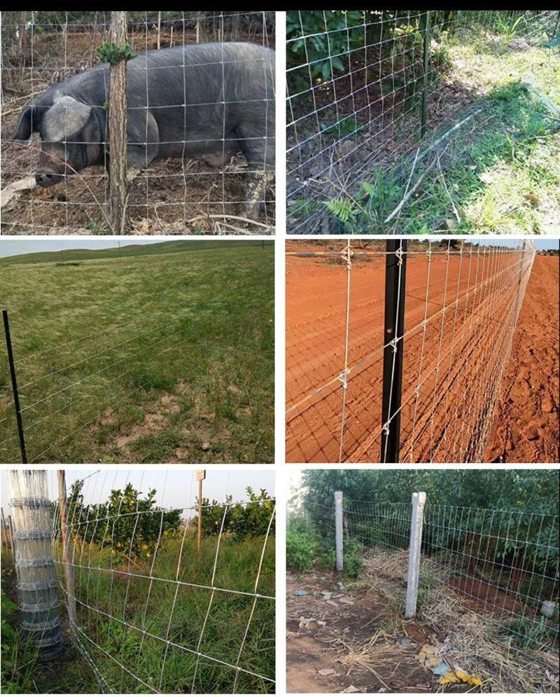 果园围栏网护栏网热镀锌草原网牛栏网养殖圈地大型篱笆栅栏