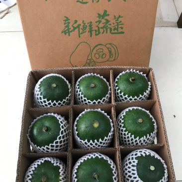 台湾迷你小冬瓜大量上市冬瓜盅