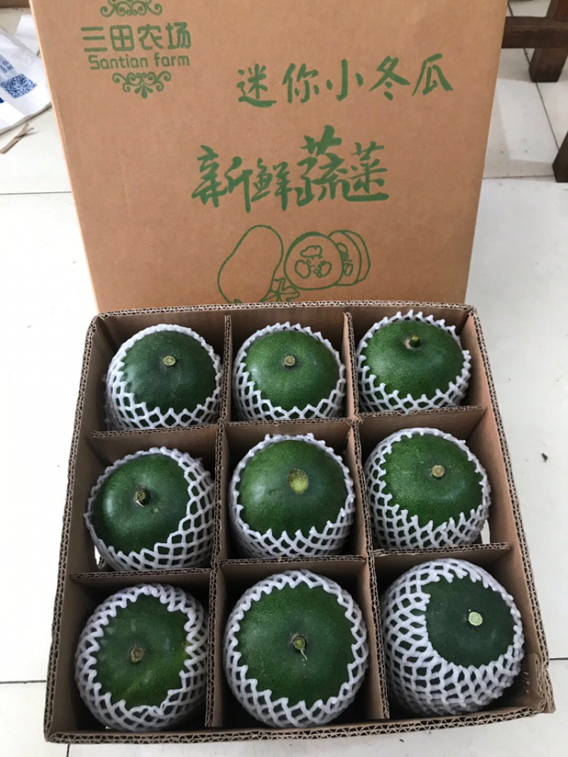 台湾迷你小冬瓜大量上市冬瓜盅