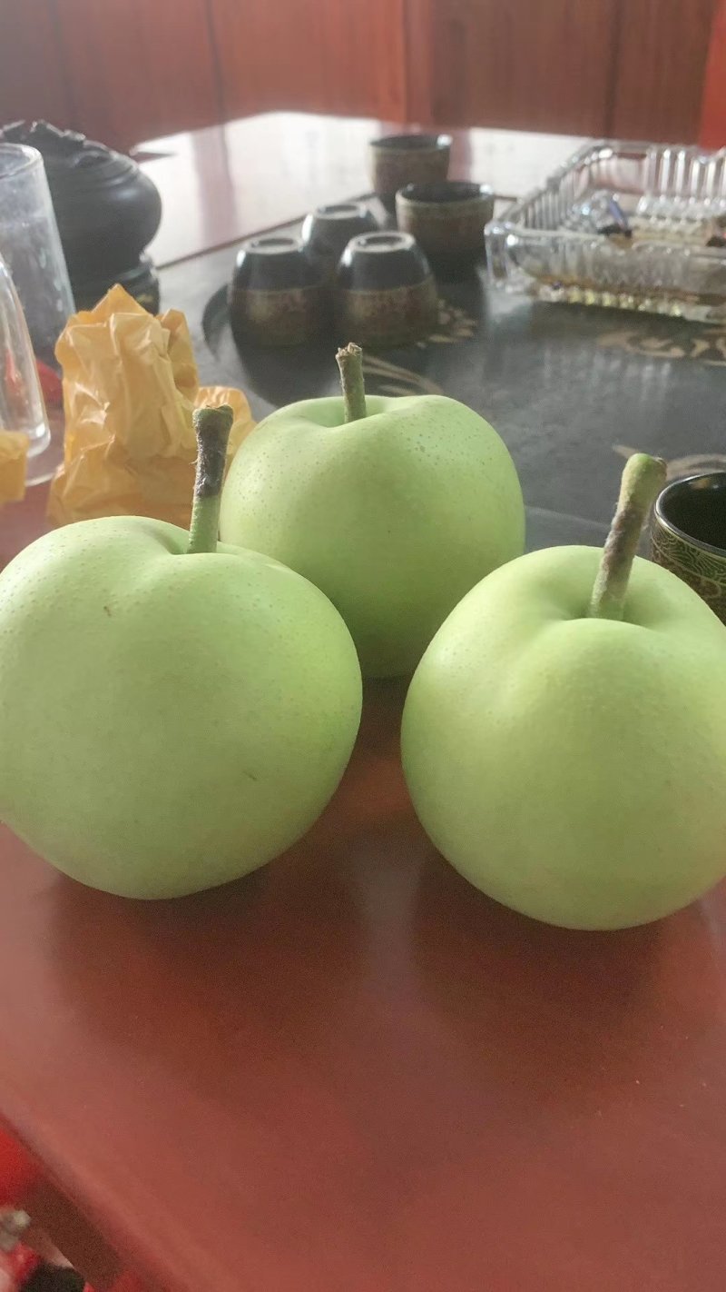 绿宝石梨《新梨》大量下树，一级果，二级货源，充足大量现货