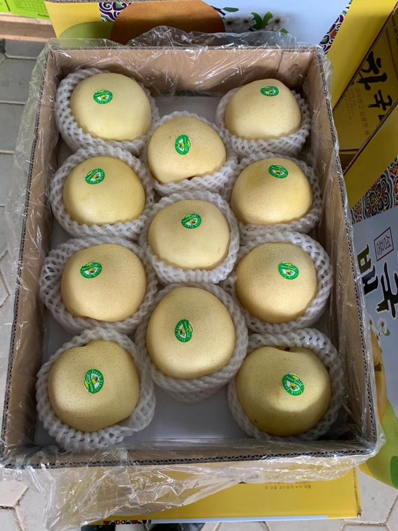 绿宝石梨《新梨》大量下树，一级果，二级货源，充足大量现货