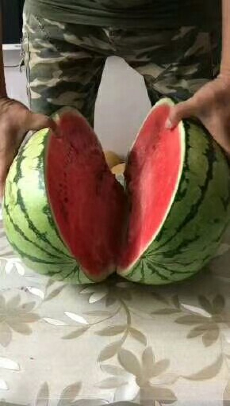 大量西瓜上市