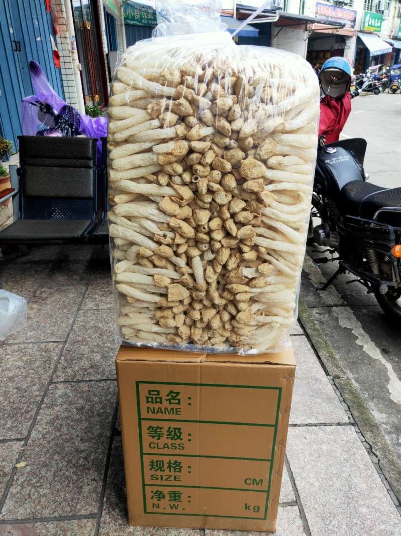 福建古田新货竹荪蛋竹荪球价格优势大一件起全国包邮