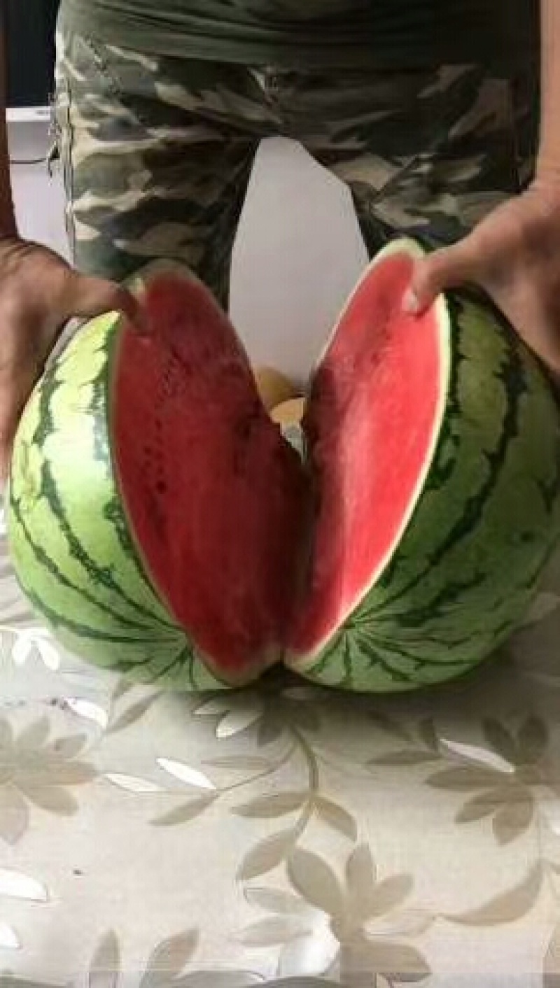 大量西瓜上市