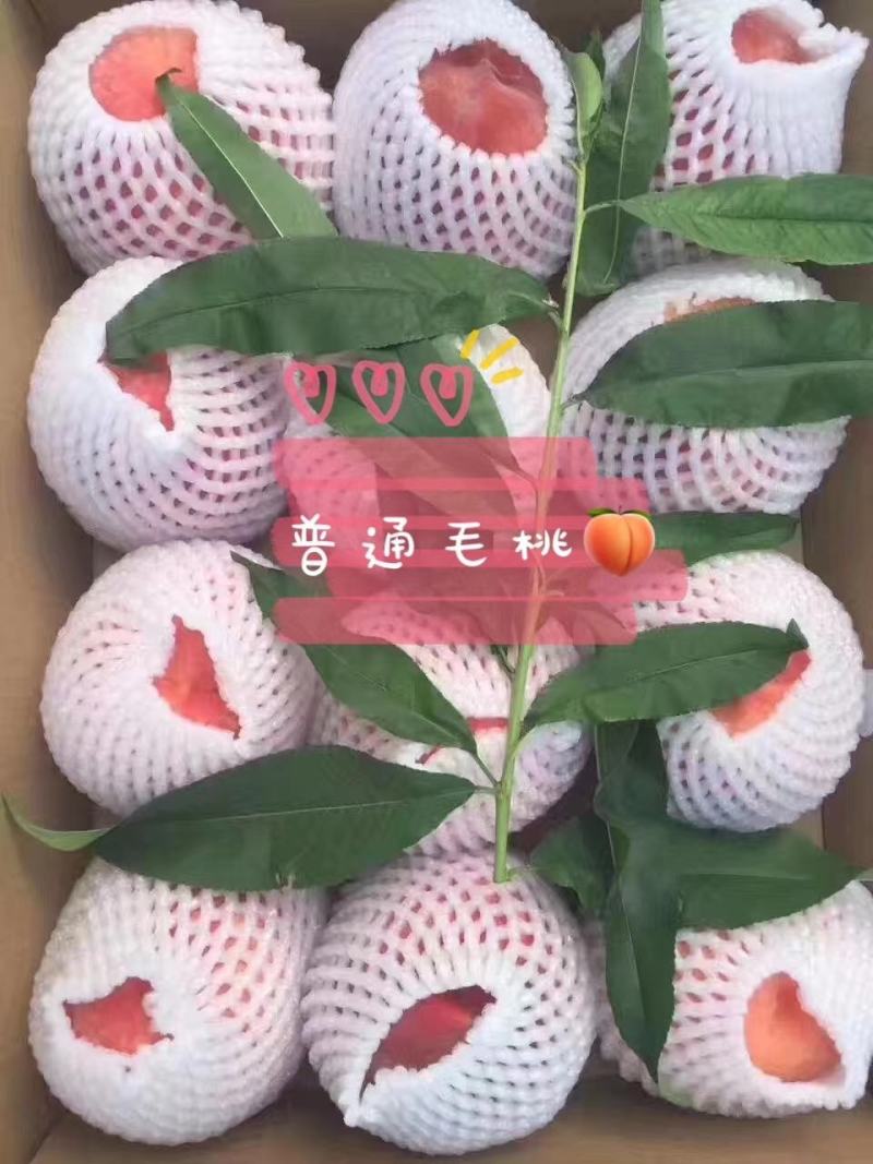平谷盒装大桃京津冀包邮件，欢迎订购，电商合作！