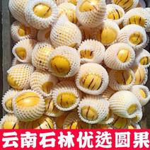 【圆果】云南石林人参果应季新鲜多汁孕妇水果2/5/10斤