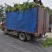 山东聊城占地桃树果树基地，价格低，绿化苗木大量现货