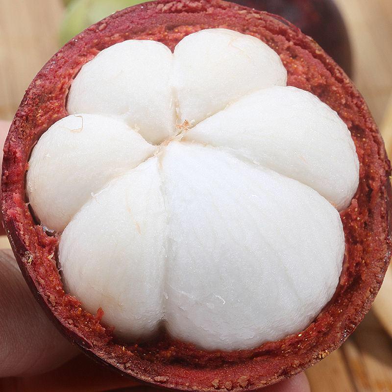 包邮泰国进口山竹1斤/5斤当季新鲜热带水果孕妇油麻竹批