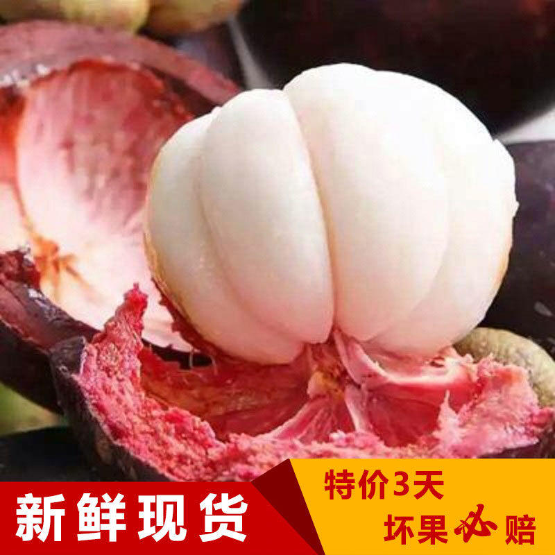 包邮泰国进口山竹1斤/5斤当季新鲜热带水果孕妇油麻竹批