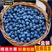 【现摘现发】新鲜蓝莓鲜果新鲜蓝莓孕妇水果蓝梅4盒8
