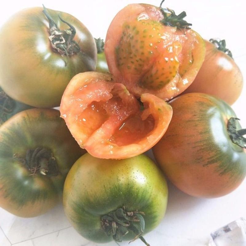 丹东铁皮柿子碱地柿子番茄绿腚丹东油柿子新鲜盘锦西红柿包邮