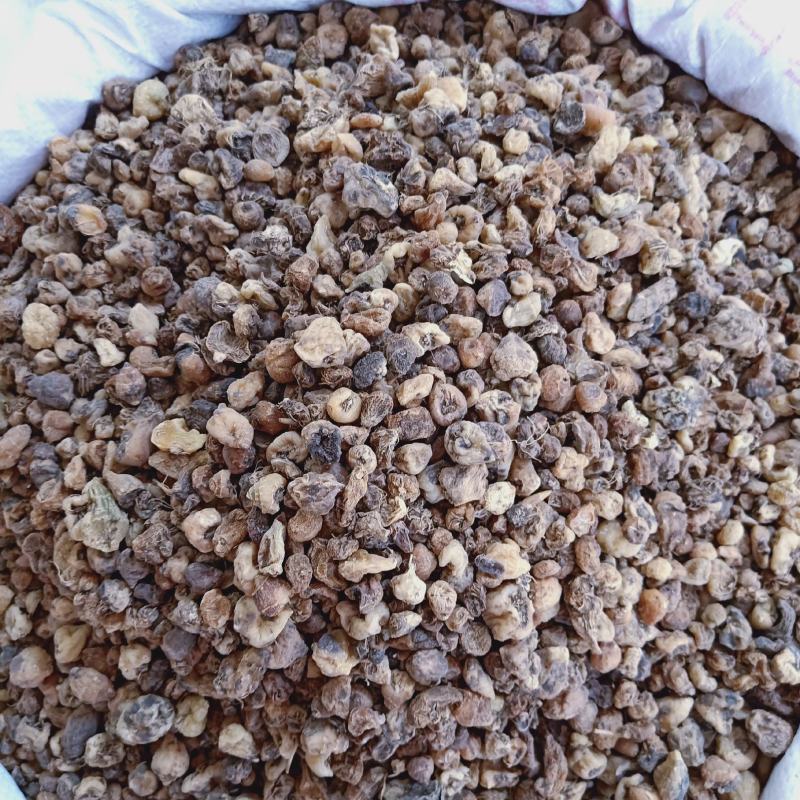 药材山慈姑有大量货源欢迎选购