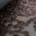辉煌水产鱼苗场长期批发甲鱼苗经济效益高提供养殖技术指导
