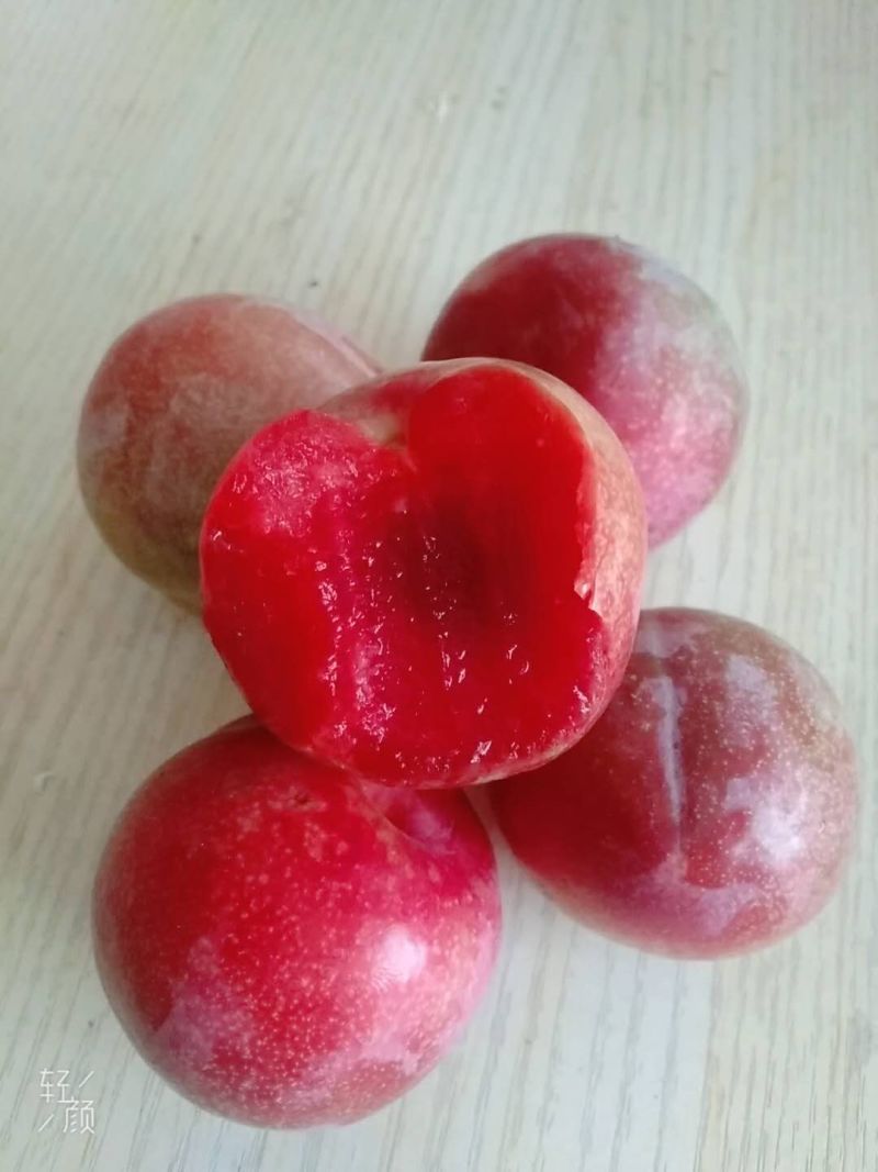 芙蓉李（红心李）大量上市，欢迎采购合作愉快