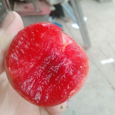 芙蓉李（红心李）大量上市，欢迎采购合作愉快
