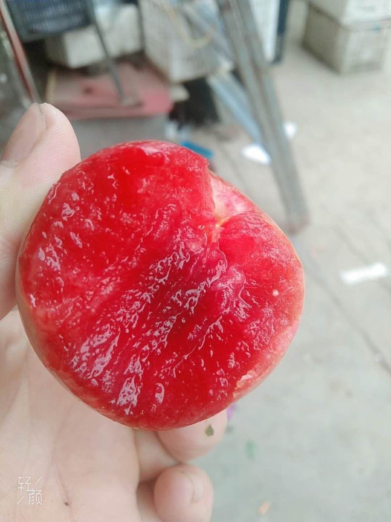 芙蓉李（红心李）大量上市，欢迎采购合作愉快