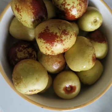 冬枣