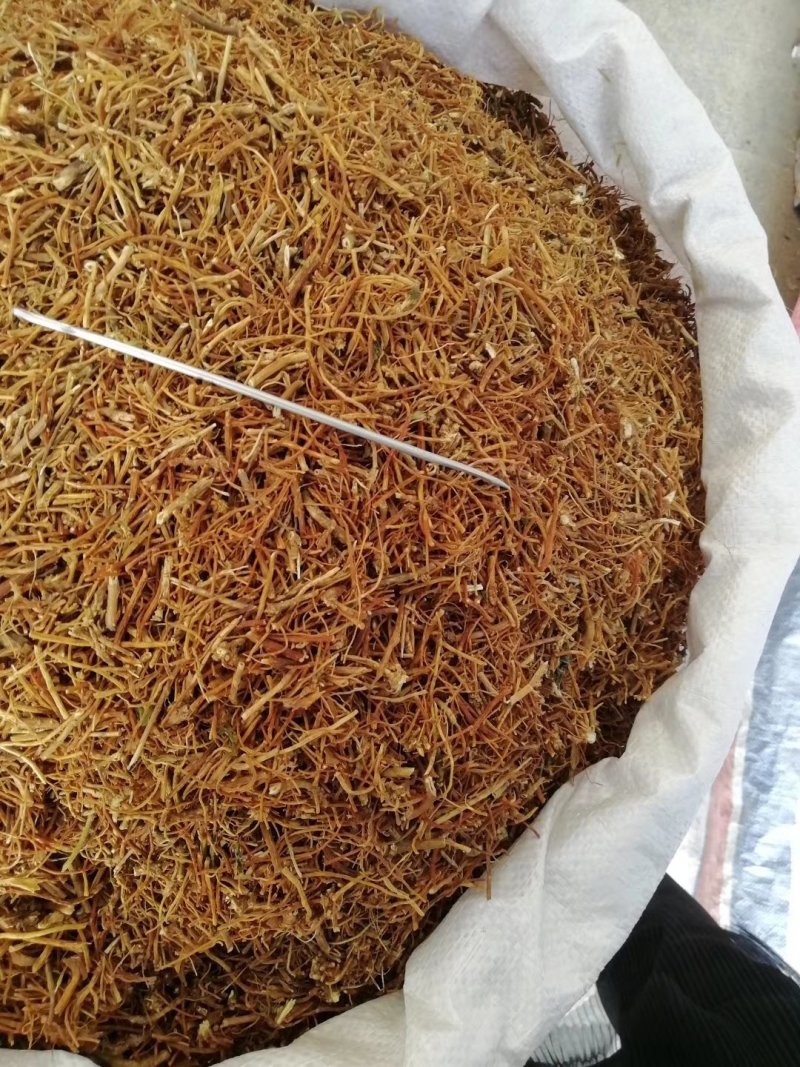 龙胆草龙胆草各种规格大货批发大货供应