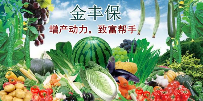 金丰保大蒜山药红薯辣椒土豆促生长增产叶面肥氨基酸水溶肥料