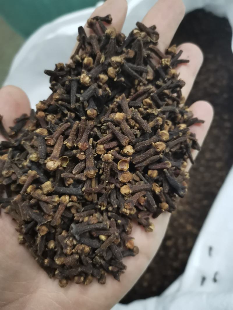 丁香正宗公丁香食药两用泡水亦可做调味料一公斤起