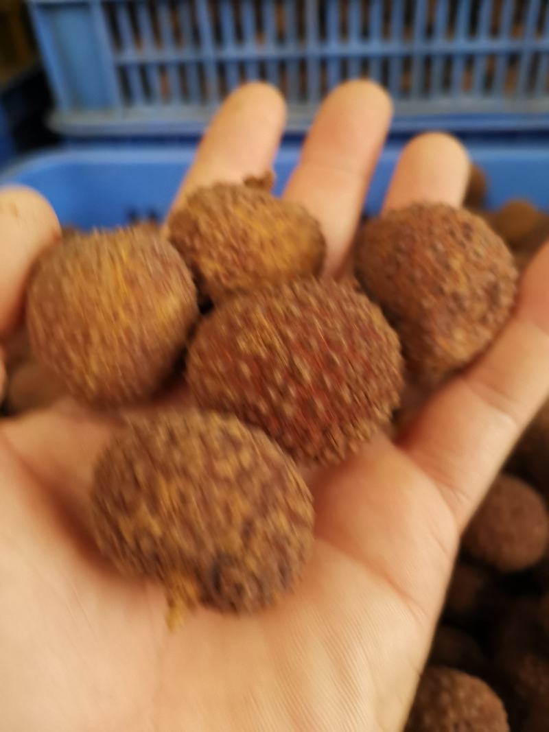 广西桂味荔枝干核小果大非糯米糍荔枝干妃子笑荔枝干