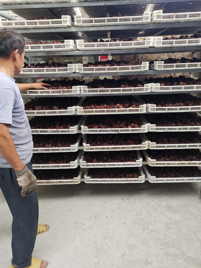 广西桂味荔枝干核小果大非糯米糍荔枝干妃子笑荔枝干