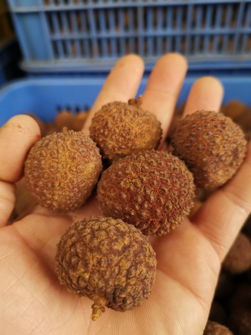 广西桂味荔枝干核小果大非糯米糍荔枝干妃子笑荔枝干