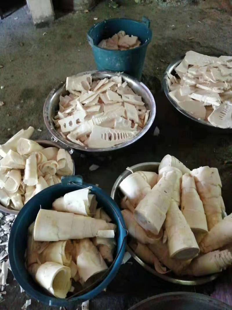 笋片天峨土特产笋片笋尖自加工干笋片