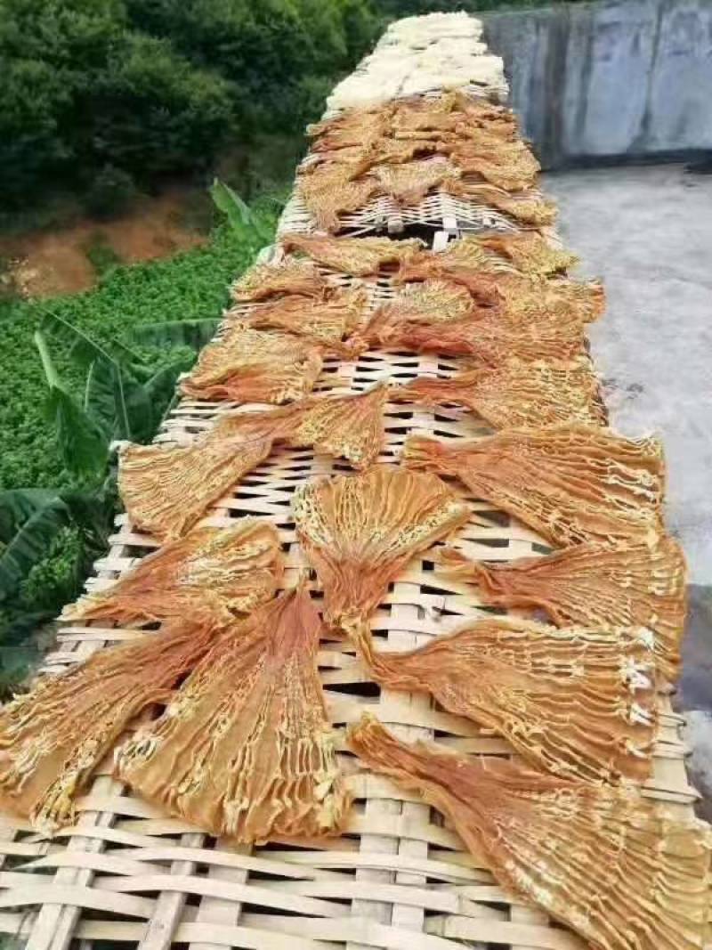 笋片天峨土特产笋片笋尖自加工干笋片