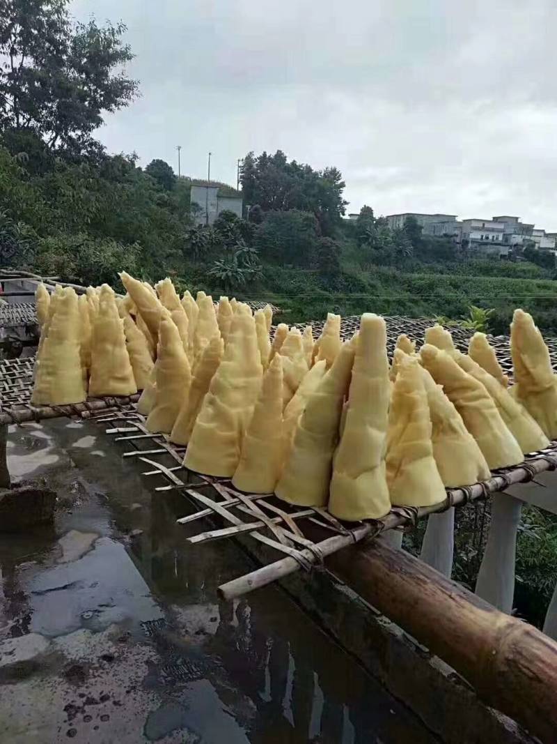 笋片天峨土特产笋片笋尖自加工干笋片