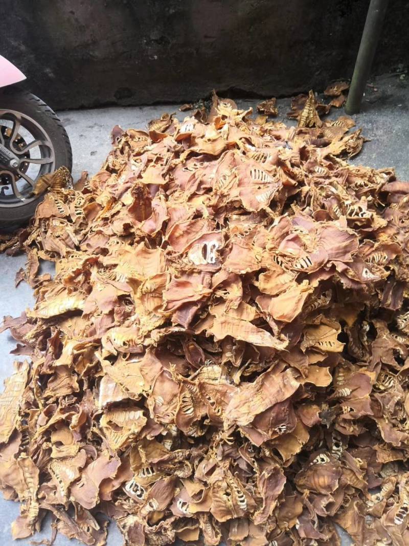 笋片天峨土特产笋片笋尖自加工干笋片